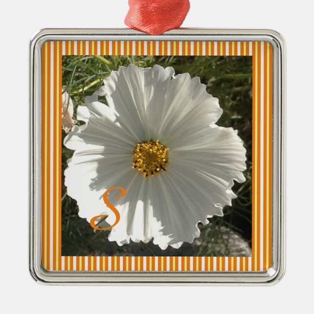 Keramik Weißer Kosmos Blume Ornament (Vorne)