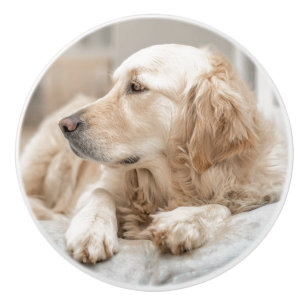 Keramik-Zug mit Porträt des goldenen Retrievers Keramikknauf