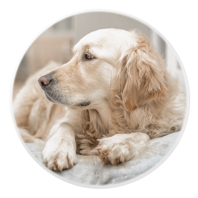 Keramik-Zug mit Porträt des goldenen Retrievers Keramikknauf (Vorderseite)