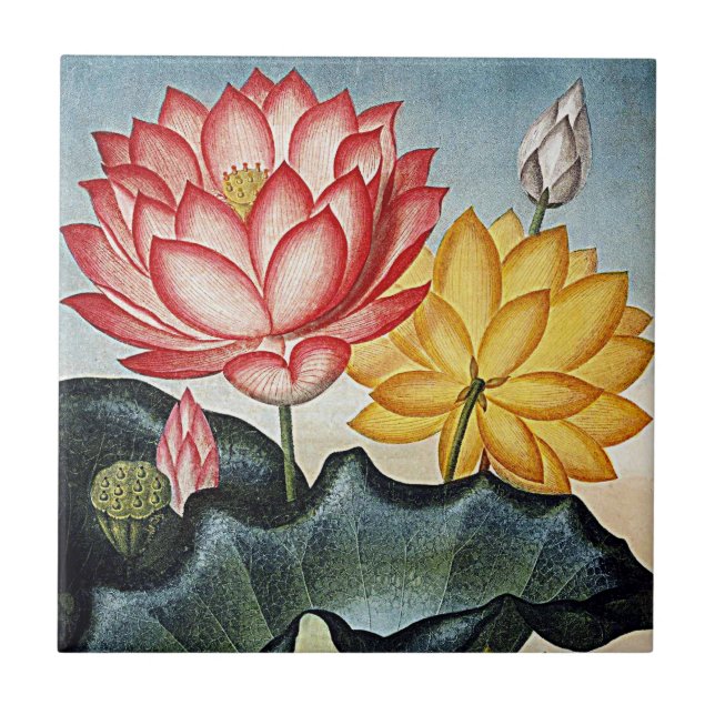 Keramiken der botanischen Blume Fliese (Vorderseite)