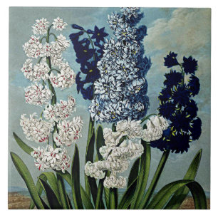 Keramiken der botanischen Blüten Fliese