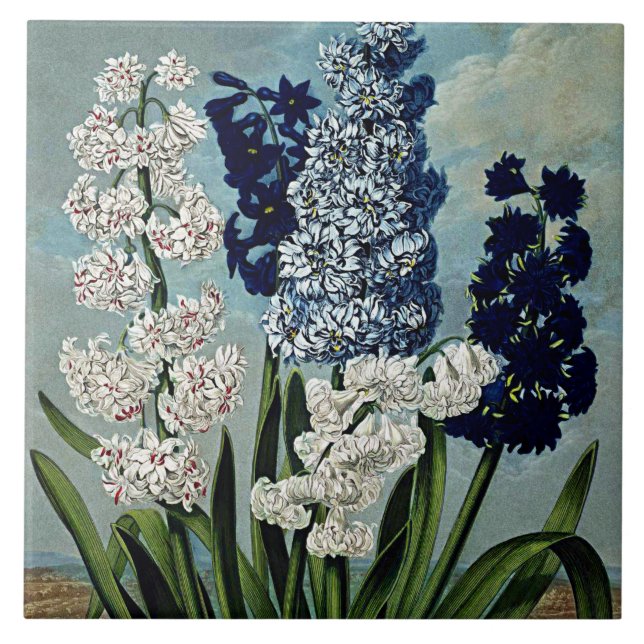 Keramiken der botanischen Blüten Fliese (Vorderseite)