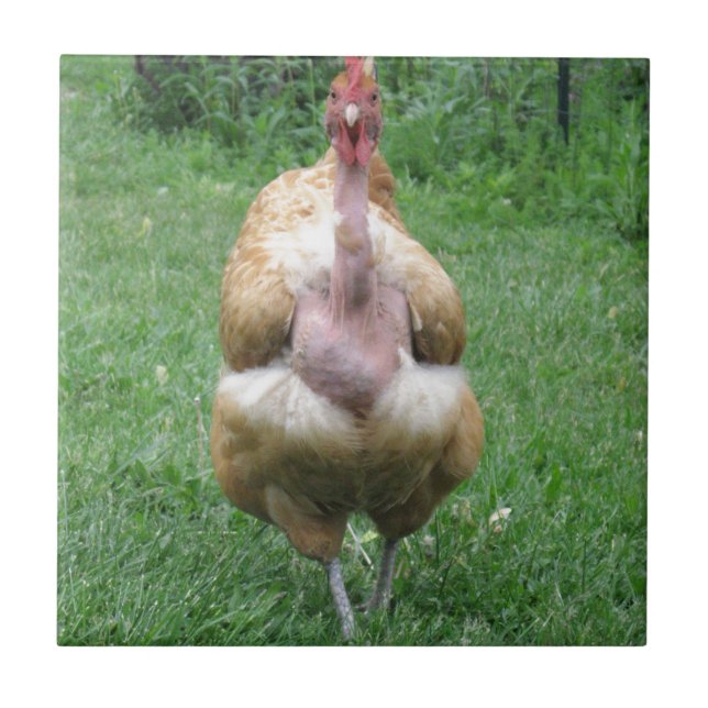 Keramikfliese mit Turken Henne (Vorderseite)