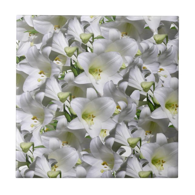 Keramikfliese Weiß Floral (Vorderseite)