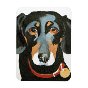 Kerl 2012 magnet