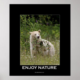 Kermode Bear Motivierend Poster