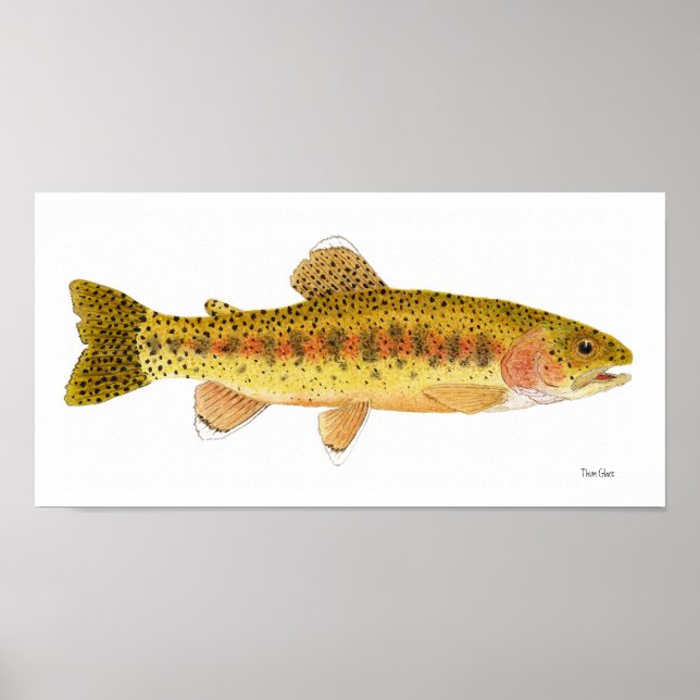 Kern River Rainbow Trout Art Poster (Vorne)