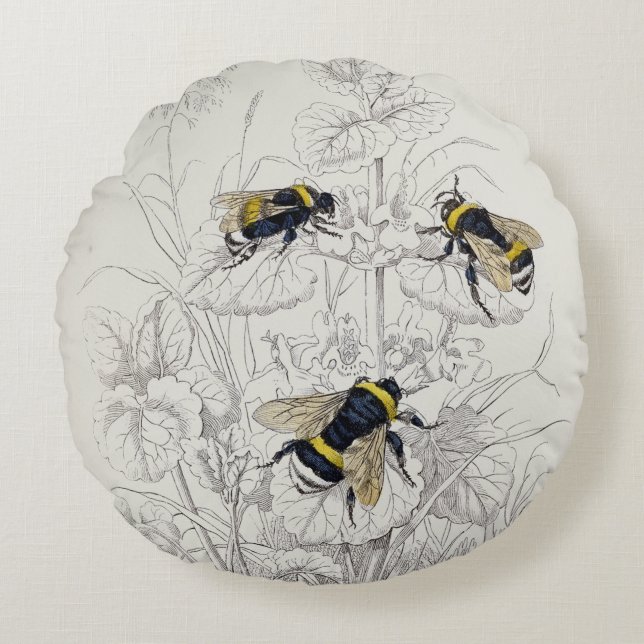 Kernknochenklee Bienendiagramm rund Rundes Kissen (Vorderseite)