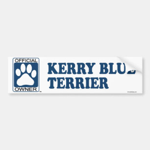 Kerry-Blau-Terrier-Blau Autoaufkleber