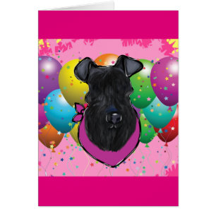 Kerry Blue Terrier Birthday