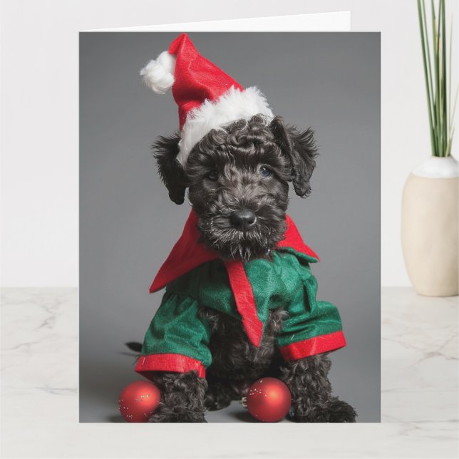 Kerry Blue Terrier Elf Puppy Christmas Card Karte (Vorderseite)