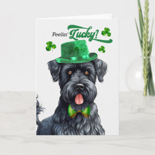 Kerry Blue Terrier fühlt sich am St. Patrick's Day Feiertagskarte