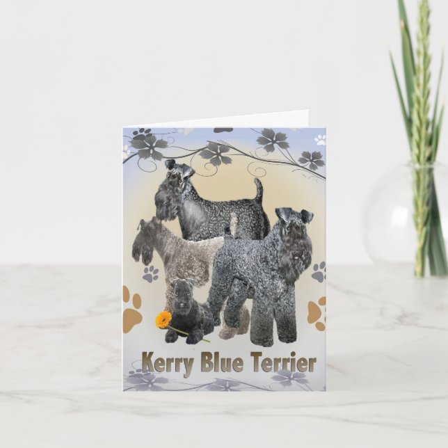 Kerry Blue Terrier Grußkarten Karte (Vorderseite)