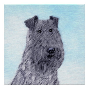 Kerry Blue Terrier Malerei Niedliche Original Dog  Poster