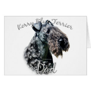 Kerry Blue Terrier Papa 2