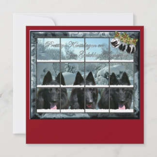 Kerstkaart de 3 groenendaelers
