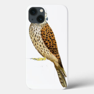 Kestrel 2011 title_seo2