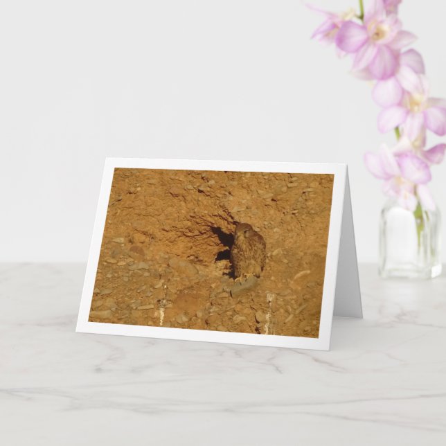Kestrel Bird, Falco Tinnunculus Card Karte (Orchidee)