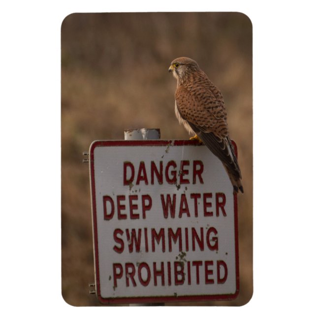 Kestrel Magnet (Vertikal)