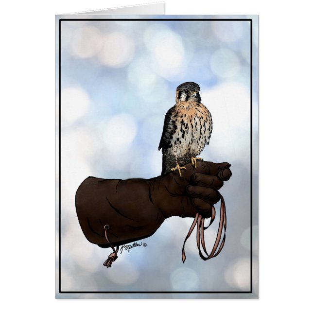 Kestrel on Glove Illustration (Devant)