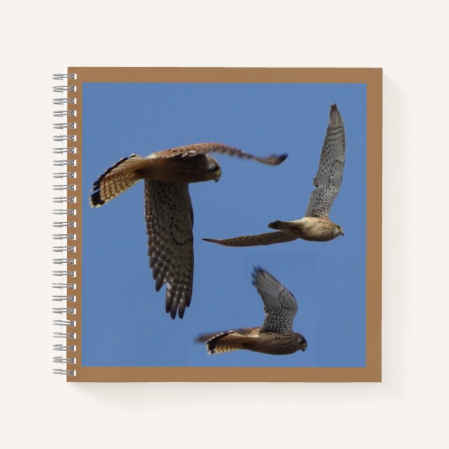 Kestrel Vögel Fotografie Kust. Textheft Notizbuch (Vorderseite)