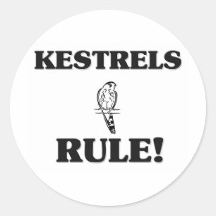 KESTRELS-Regel! Runder Aufkleber