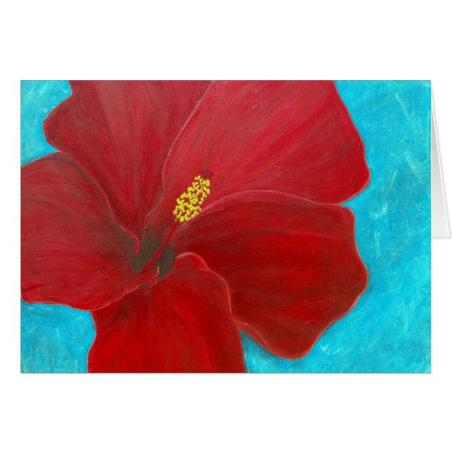 Ketmie (Devant horizontal)