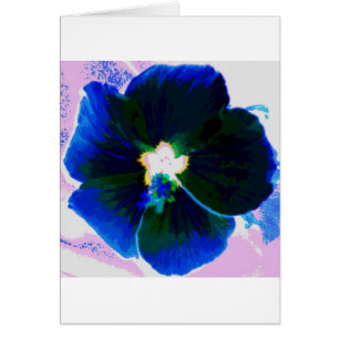 Ketmie Azul