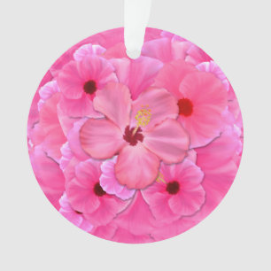 Ketmie rose