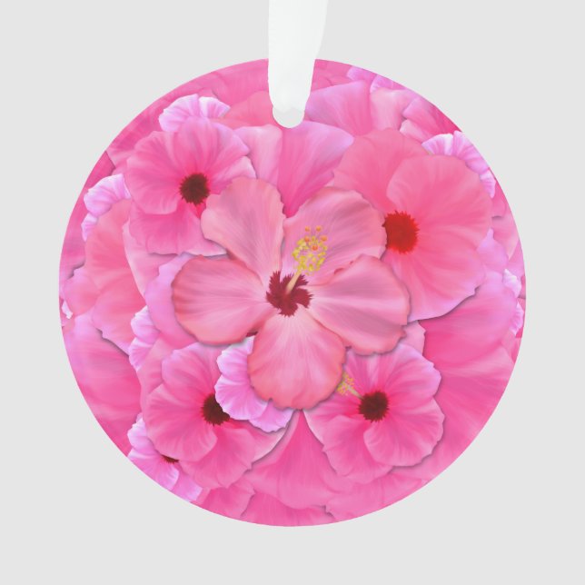 Ketmie rose (devant)