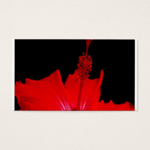 Ketmie rouge