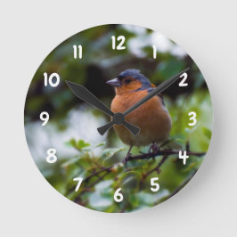 Ketten an einem Zweig der Acrylwand Runde Wanduhr