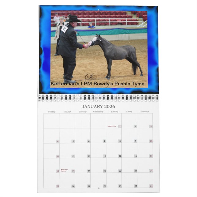Kettermans Lil Pondarosa Minikalender Kalender (Jan 2026)