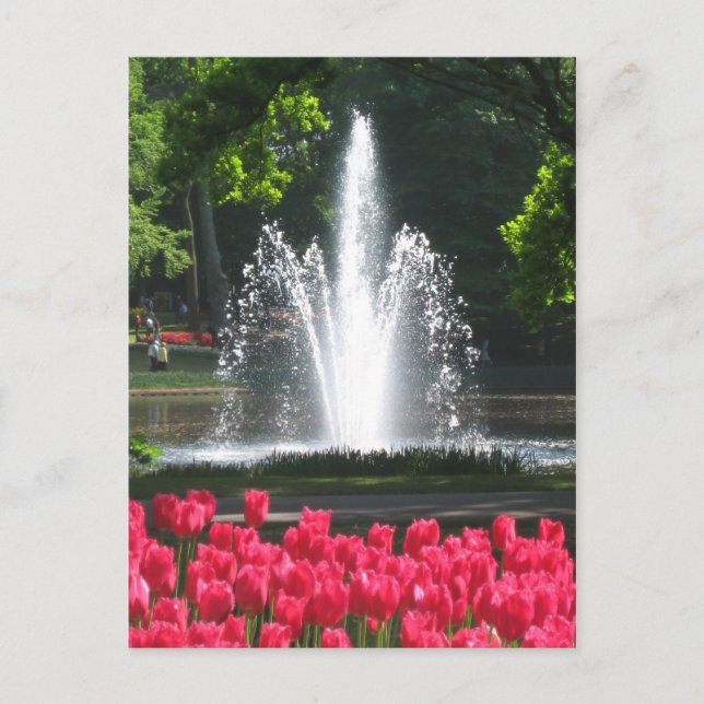 Keukenhof garden - Holland Postkarte (Vorderseite)
