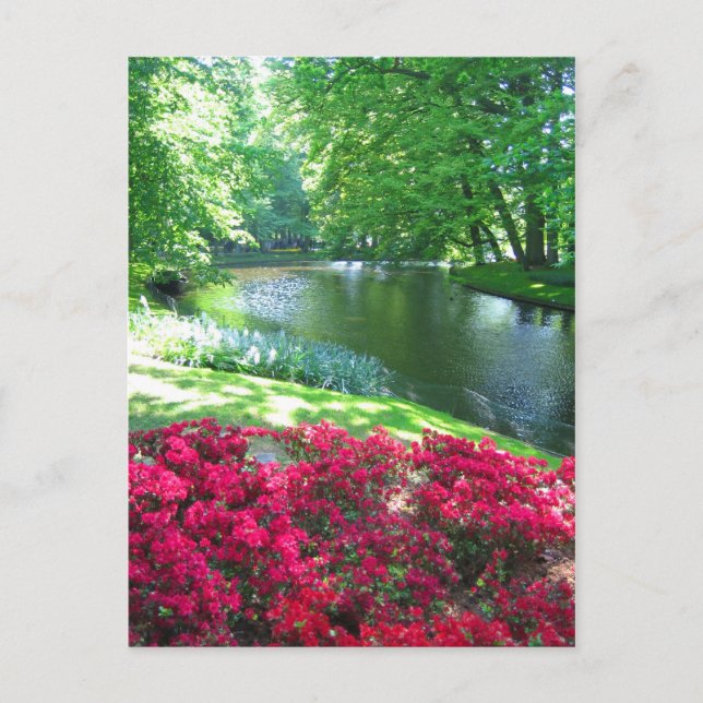 Keukenhof garden - Holland Postkarte (Vorderseite)