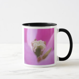 Keukenhof Gardens, Holland, ist auf 3 spezialisier Tasse