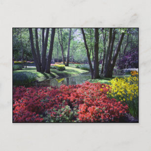 Keukenhof Gardens Niederlande, Postcard Template Postkarte
