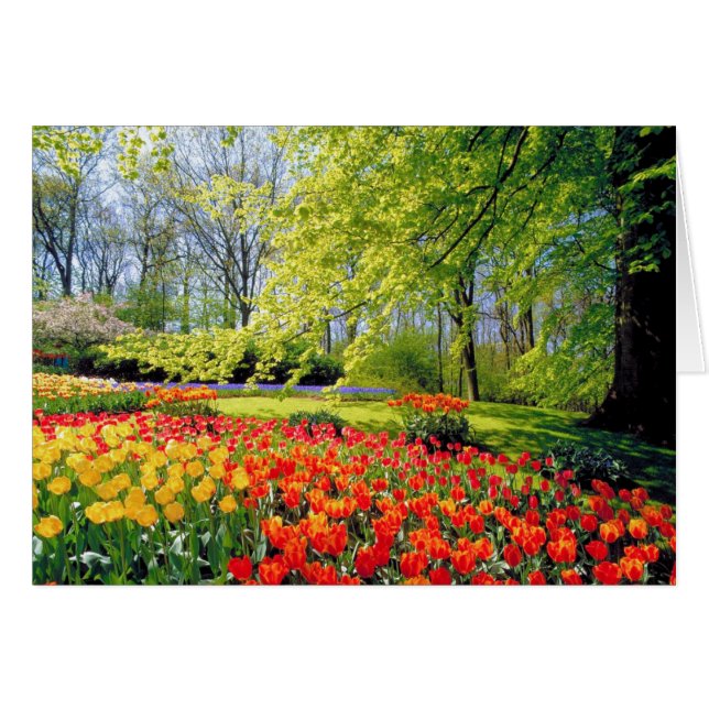KEUKENHOF GÄRTEN (Vorderseite (Horizontal))