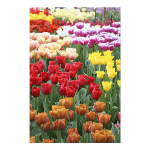 Keukenhof-Gärten, Holland, spezialisiert sich auf Fotodruck
