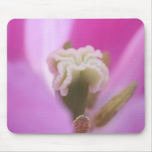 Keukenhof-Gärten, Holland, spezialisiert sich auf Mousepad