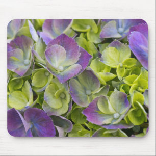 Keukenhof-Garten Hortensie Mousepad