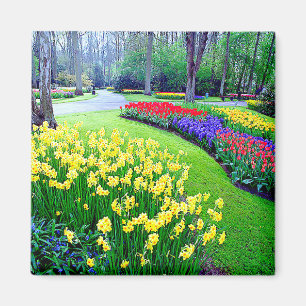 KEUKENHOF GÄRTEN, LISSE HOLLAND MAGNET