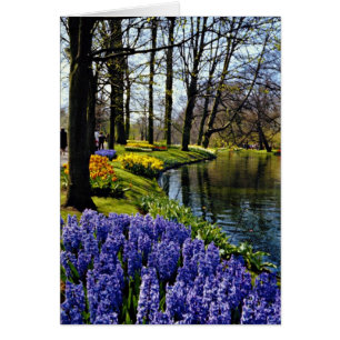 Keukenhof Gärten, Lisse, niederländische Blumen
