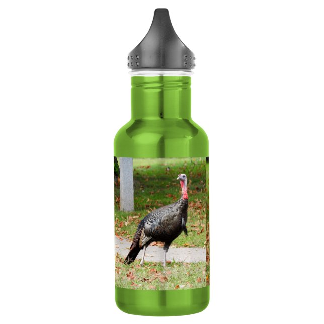 Kevin the Turkey - Old Wethersfield , CT (2 Bilder Edelstahlflasche (Links)