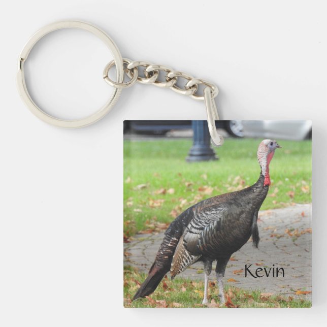 Kevin the Turkey - Old Wethersfield , CT (2 Bilder Schlüsselanhänger (Vorderseite)