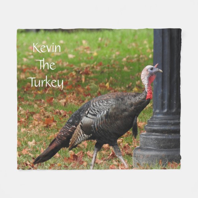 Kevin the Turkey - Old Wethersfield , CT Fleecedecke (Vorderseite (Horizontal))