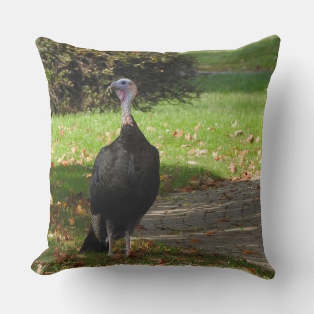 Kevin the Turkey - Old Wethersfield , CT Kissen (Vorderseite)