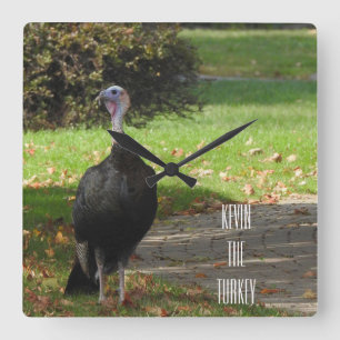 Kevin The Turkey - Old Wethersfield , CT Quadratische Wanduhr