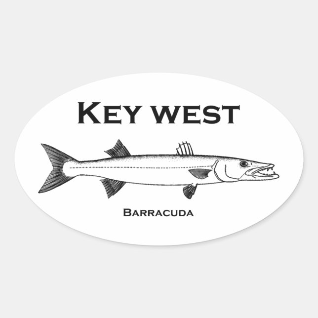 Key West Barracuda Ovaler Aufkleber (Vorderseite)