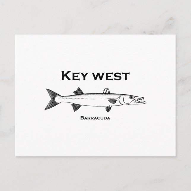 Key West Barracuda Postkarte (Vorderseite)